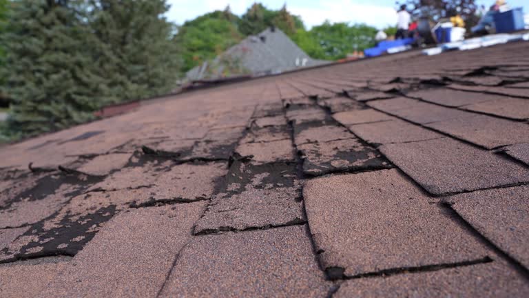 Best Steel Roofing  in Wingdale, NY